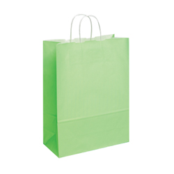 Large Lime Green Kraft Paper Bag