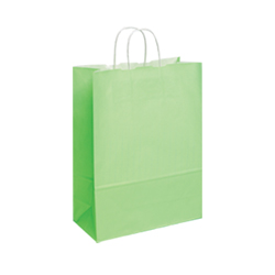 Medium Lime Green Kraft Paper Bag Medium Lime Green Kraft Paper Bag