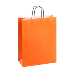 [100 Pcs] 10 inch x 5 inch x 12H Orange Colored Kraft Paper Shopping Bag with Twisted Handles for Gift, Merchandise, Birthday, Christmas, Craft