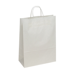 Large White Kraft Paper Bag