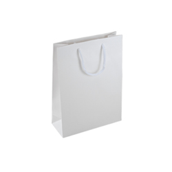 Small White Paper Bag