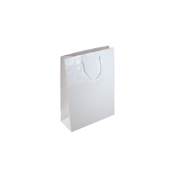 Extra Small Tiny White Paper Bag