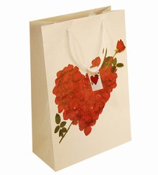 arrow-heart-paper-gift-bag-with-gift-tag