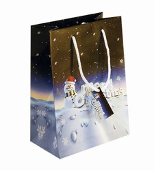 Medium-Merry Xmas-Christmas Gift  Bags with Gift Tag