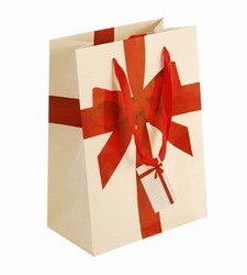 Large Red Ribbon Paper Gift Bag