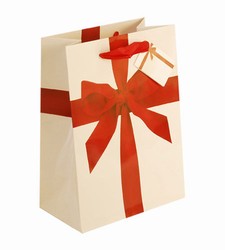 Medium-Red Ribbon-Paper Bags with Gift Tag