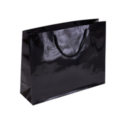 Landscape Medium Gloss Black Paper Bag