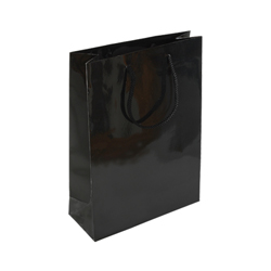 Medium Black Paper Bag