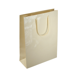 Medium Cream Paper Bag