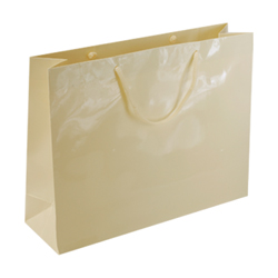 Large Cream Paper Gift Bag