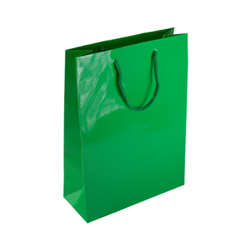 Medium Green Paper Gift Bag