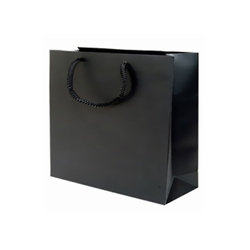 Medium Black Paper Bag