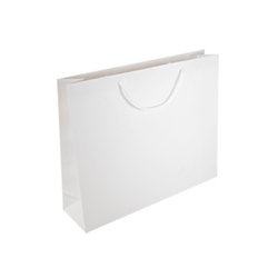 Medium Plus White Paper Bags