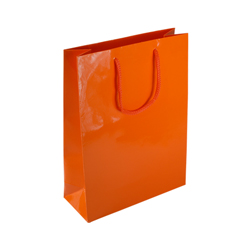 Medium Orange Paper Gift Bag