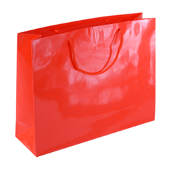 Large Red Paper Bag