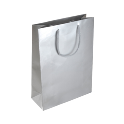 Medium Silver Paper Bag