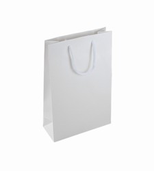 Small Plus White Paper Gift Bag
