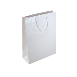 Small Plus Gloss White Paper Gift Bag