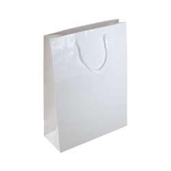 Medium-White-Paper Bag