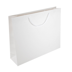 Large White Paper Gift Bag