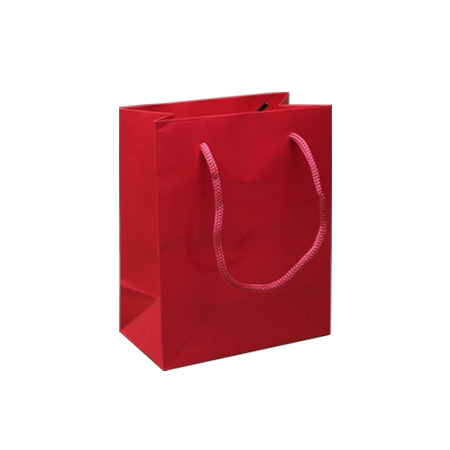 Extra Small Tiny Gloss Laminated Rope Handle Paper Bags-11x15x7cm Extra Small Tiny Gloss Laminated Rope Handle Paper Bags-11x15x7cm