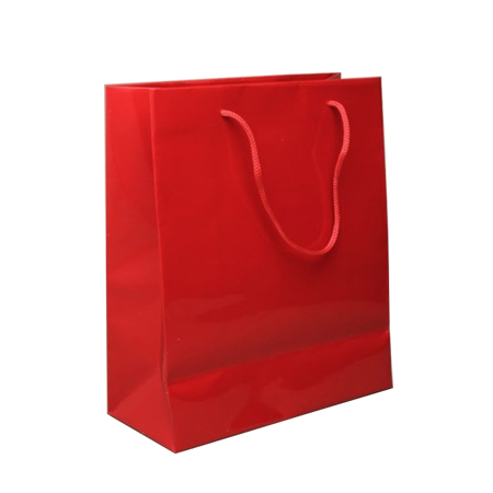 Small Gloss Laminated Paper Bags with Rope Handles-15x20x8cm Small Gloss Laminated Paper Bags with Rope Handles-15x20x8cm