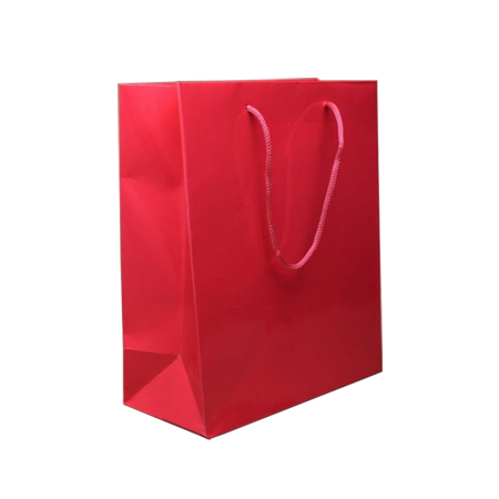 Small Gloss Laminated Paper Bags with Rope Handles-15x20x8cm Small Gloss Laminated Paper Bags with Rope Handles-15x20x8cm
