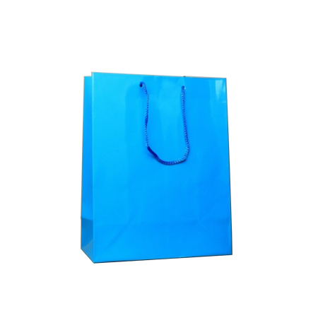 Small Gloss Laminated Paper Bags with Rope Handles-15x20x8cm Small Gloss Laminated Paper Bags with Rope Handles-15x20x8cm