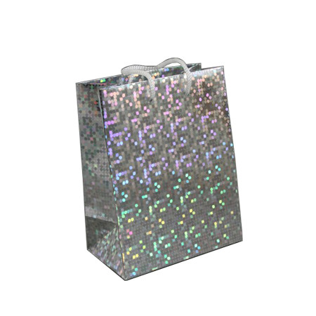 Holographic Gift Bags Holographic Gift Bags