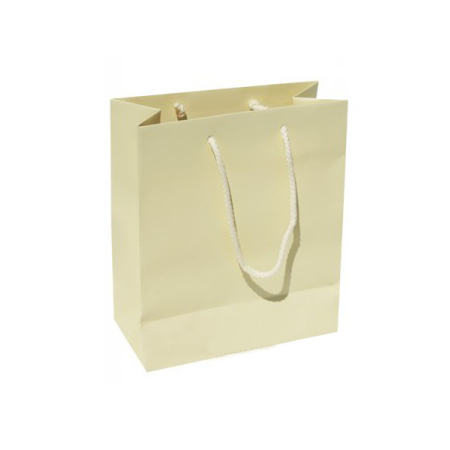 Small Plus Matt Laminated Paper Bags with Rope Handle -20x25x10cm Small Plus Matt Laminated Paper Bags with Rope Handle -20x25x10cm