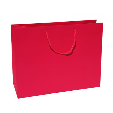 Large Raspberry Paper Gift Bag Large Raspberry Paper Gift Bag