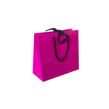 Ribbon Tie Laminated Paper Carrier Bags Ribbon Tie Laminated Paper Carrier Bags
