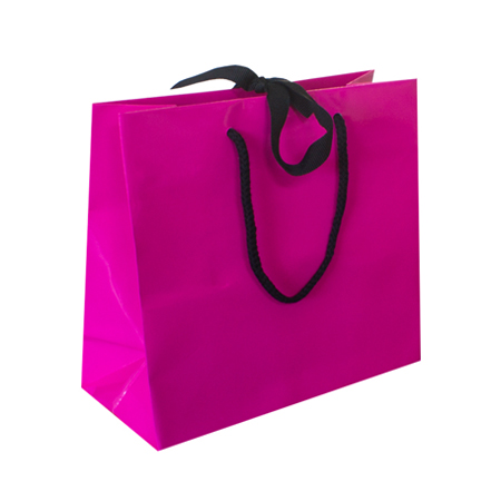 Ribbon Tie Laminated Paper Carrier Bags Ribbon Tie Laminated Paper Carrier Bags