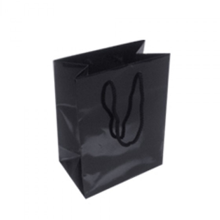 Small Gloss Laminated Paper Bags with Rope Handles-15x20x8cm Small Gloss Laminated Paper Bags with Rope Handles-15x20x8cm