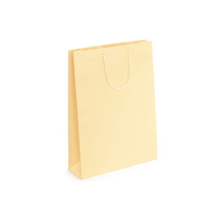 Small Matt Laminated Paper Bags with Rope Handles-15x20x8cm Small Matt Laminated Paper Bags with Rope Handles-15x20x8cm