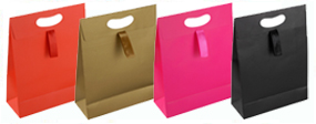 Matt Laminated Ribbon Handle Paper Gift Bags