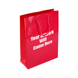 Medium Gloss Laminated Rope Handle Paper Bags-25x34x10cm