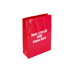 Small Gloss Laminated Paper Bags with Rope Handles-15x20x8cm