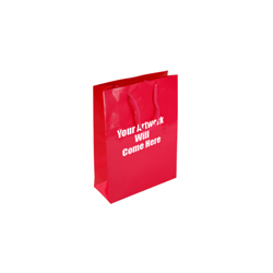 Extra Small Tiny Gloss Laminated Rope Handle Paper Bags-11x15x7cm