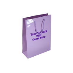 Small Gloss Laminated Paper Bags with Rope Handles-15x20x8cm