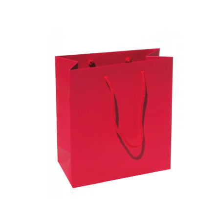 Small Plus Matt Laminated Paper Bags with Rope Handle -20x25x10cm