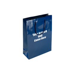 Small Gloss Laminated Paper Bags with Rope Handles-15x20x8cm