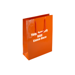 Small Gloss Laminated Paper Bags with Rope Handles-15x20x8cm