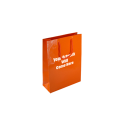 Extra Small Tiny Gloss Laminated Rope Handle Paper Bags-11x15x7cm