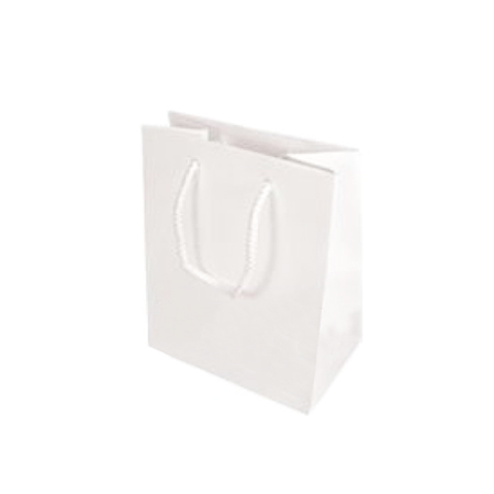 Small Gloss Laminated Paper Bags with Rope Handles-15x20x8cm