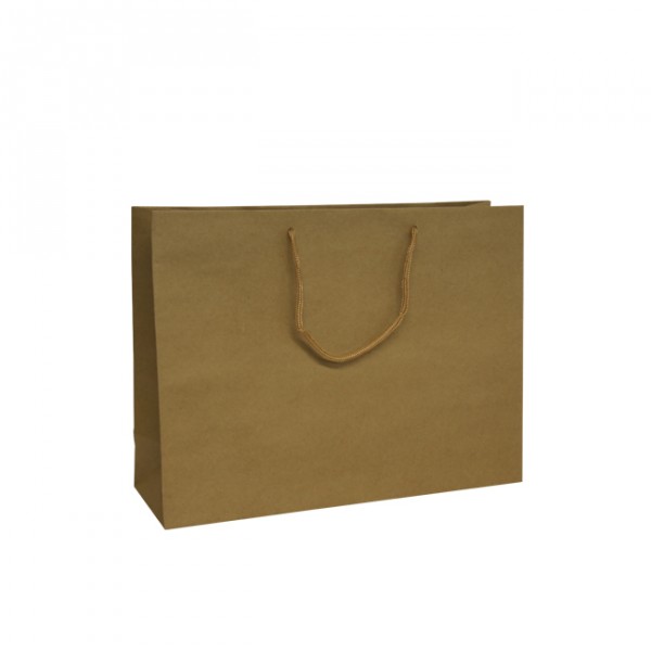 Medium Kraft Twisted Handle Paper Bags-24x31x11cm