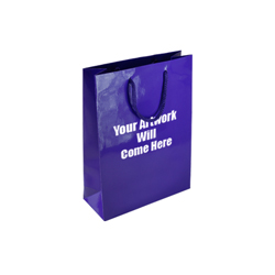 Small Gloss Laminated Paper Bags with Rope Handles-15x20x8cm