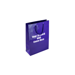 Extra Small Tiny Gloss Laminated Rope Handle Paper Bags-11x15x7cm