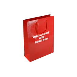 Small Gloss Laminated Paper Bags with Rope Handles-15x20x8cm