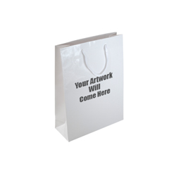 Small Gloss Laminated Paper Bags with Rope Handles-15x20x8cm